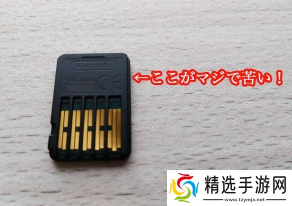 奇葩玩家为测试Switch卡带有多苦 竟连续舔卡带一周