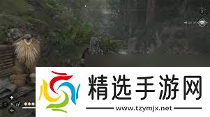 刺客信条影朝圣之旅支线任务怎么做