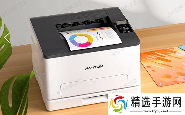 奔图 P2506 黑白激光打印机