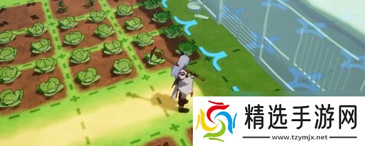 《符文工房：龙之天地》中环后游玩建议分享