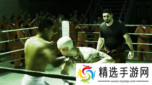 格斗大师拳击冠军