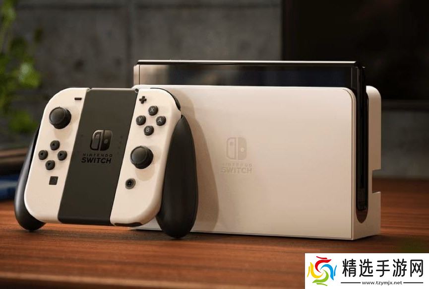 玩家通关了一款连任天堂开发者都没有挑战成功过的游戏