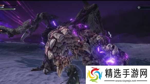 《法环 黑夜君临》永夜之王已出现！击败可换稀有圣物