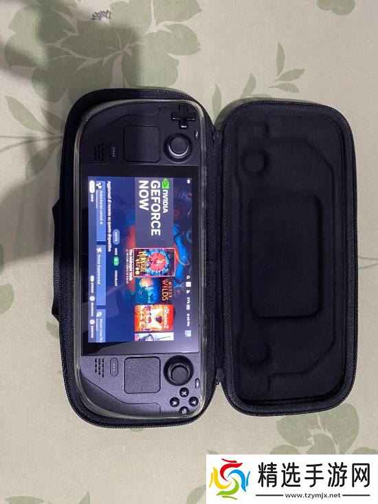 Steam Deck掌机在火灾中毫发无损网友惊呼V社品质!