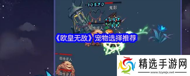 音贝才是王道 欧皇无敌宠物选择终极避坑指南