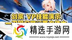 DNF缔造者VP如何选择