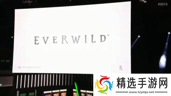 《盗贼之海》工作室新游《永恒荒野》被曝取消：员工或将面临开除