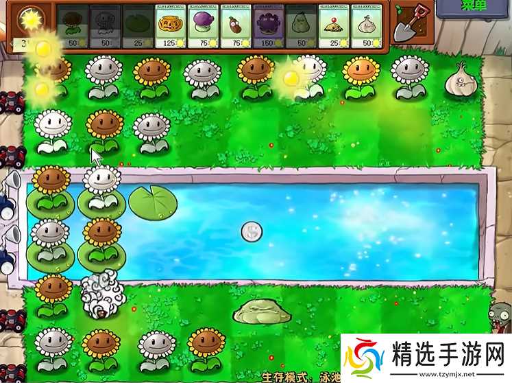 植物大战僵尸无尽怎么开局