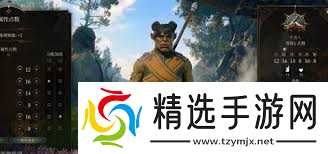 震惊！博德之门3醉拳宗武僧技能大，超强连招与独特玩法等你来看！