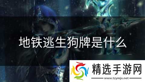 地铁逃生狗牌是什么