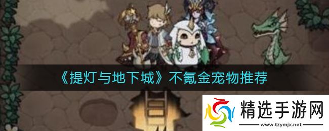 不花钱也能养的提灯地下城宠物攻略