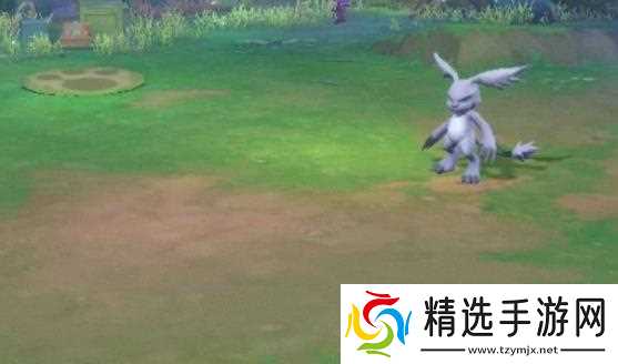 数码宝贝源码新手开荒玩法