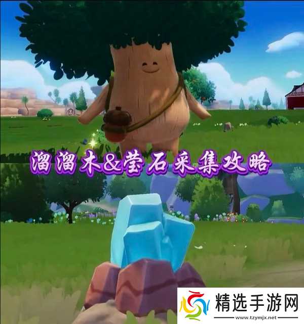 7.18心动小镇溜溜橡木和无暇荧石位置