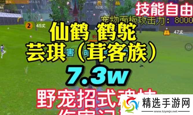 妄想山海扇子技能搭配（用扇子在游戏世界中尽情施展技能）