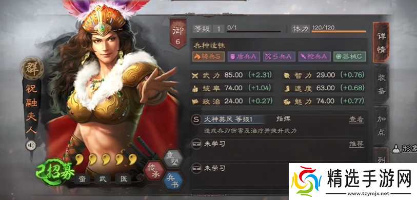 三国志战略版象兵适合什么队伍
