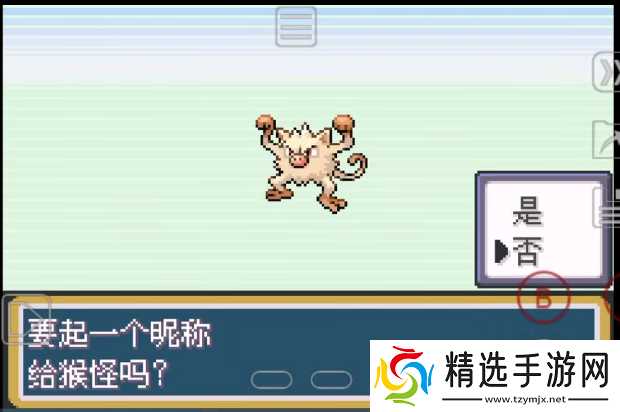 口袋妖怪火红前期抓什么