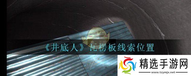 孙美琪谜案：探寻井底瓦楞板的秘密所在