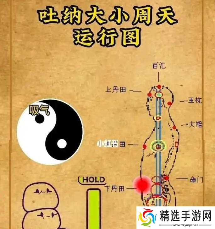 神仙道内丹法术获取途径是什么？有哪些要求？