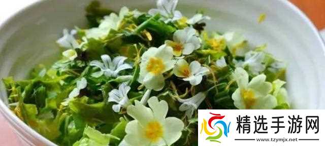 《秦时明月世界三等菜肴大揭秘》（探索三等菜肴食谱与功效）