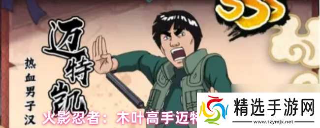 火影忍者：木叶高手迈特凯技能介绍