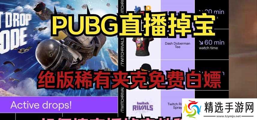 绝地求生稀有夹克获取途径有哪些？如何提高获取几率？