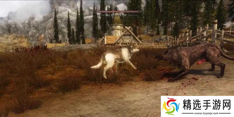 上古卷轴5(探索无尽可能性)