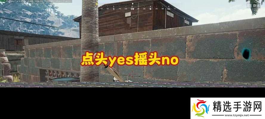 绝地求生中摇头动作有什么作用?如何正确执行摇头?