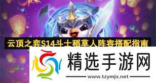 金铲铲之战s14斗士稻草人如何搭配阵容