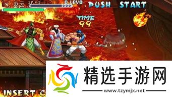 手游三国战纪武将排行榜前十名：谁是真正的战场“老司机”？