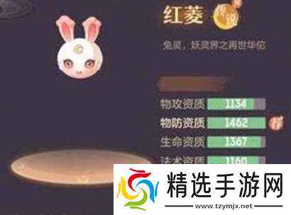 长安幻想龙宫75级选什么宠物