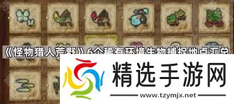 怪物猎人荒野怎么捕捉全环境生物