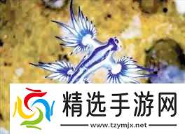 蓑海牛会用什么方式逃生