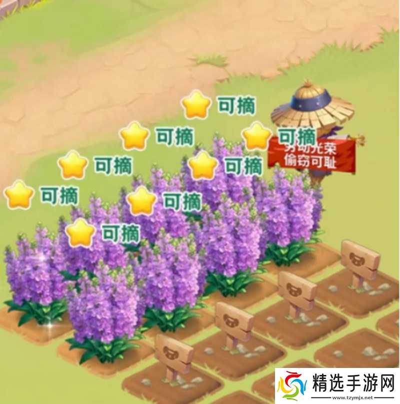 我的花园世界怎么送花 送花玩法详细攻略介绍