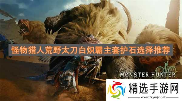 怪物猎人荒野太刀白炽霸主套护石选择推荐