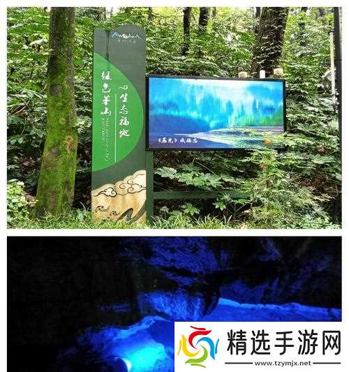 寻仙中前往毛山山洞的方法是什么？