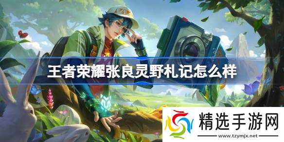 王者荣耀张良灵野札记皮肤深度体验：特效解析与获取方式全解析