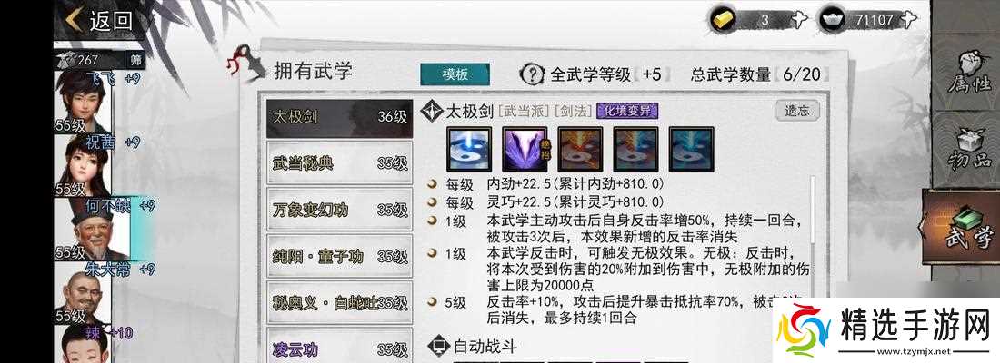 武当侠客武学全攻略(武当侠客如何搭配武学进行战斗)