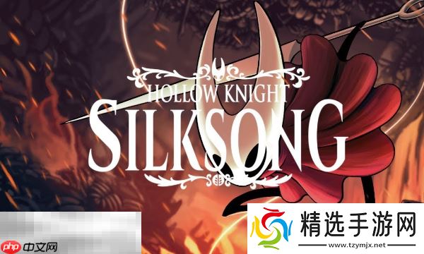 空洞骑士丝之歌官方最新配置要求是什么 丝之歌各平台游玩配置介绍