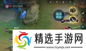 决胜巅峰格兰杰技能如何用好