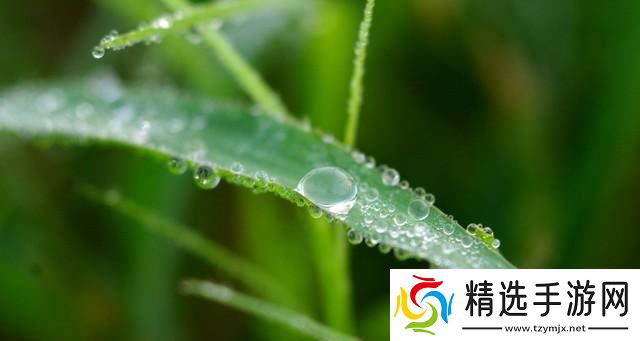 “公白露冷飕飕,母白露热死牛”,今年白露是啥?有啥说法?