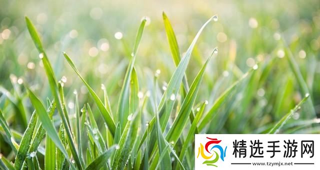 今日白露,老人说