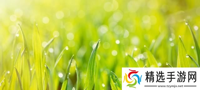 今日白露,老人说