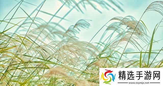 今日白露,老人说