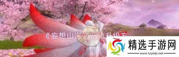 《梦幻山海》——详细搬家方法流程说明(独享山海世界)