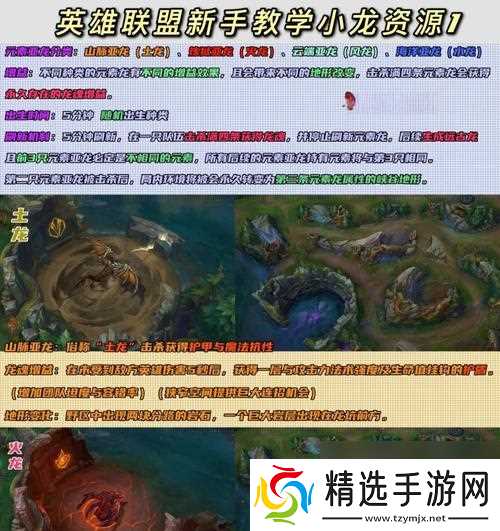 新手玩家在英雄联盟中资源应如何分配?