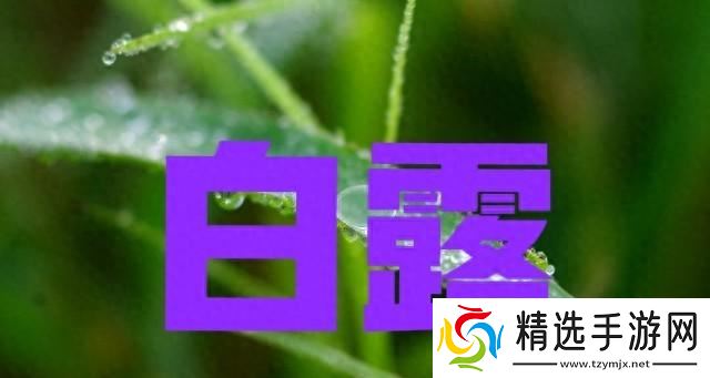 今日白露,老人说