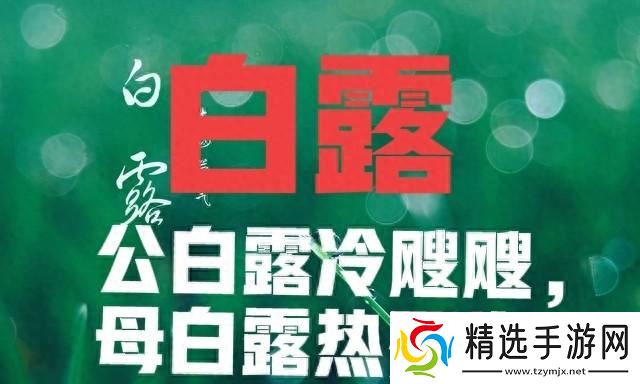 “公白露冷飕飕,母白露热死牛”,今年白露是啥?有啥说法?