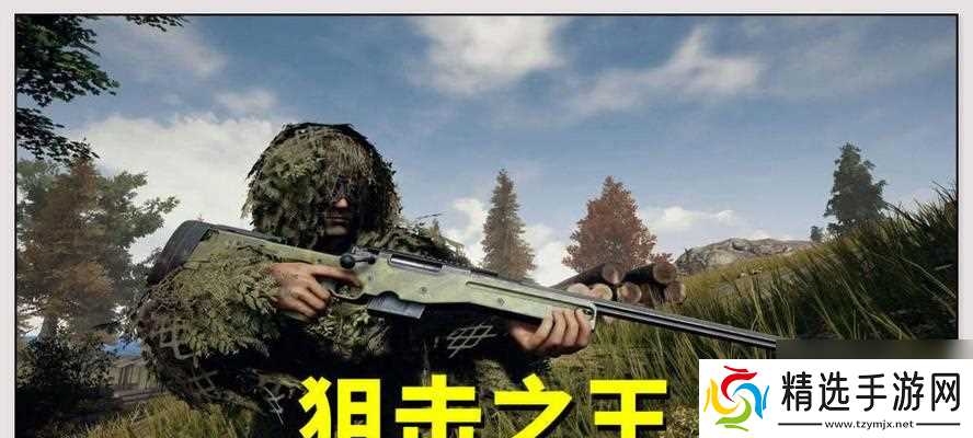 AWM太难获得（以和平精英为例）