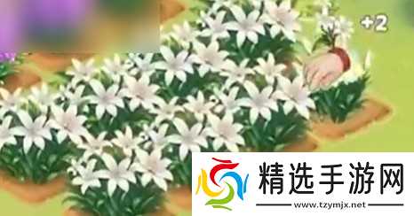 《我的花园世界手游》高效种花技巧分享