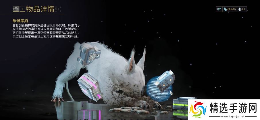 库珀全周期培育指南：从孵化到战场伙伴养成